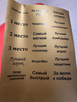 Подарок-награда "Волейбол" (наклейки в комплекте), высота 21 см. Вариант №42 #5, Эльмира З.