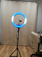 Кольцевая LED лампа 45 см zKissFashion RGB цветная со штативом держателем для телефона и селфи пультом. Модель 123290 #63, Александр К.