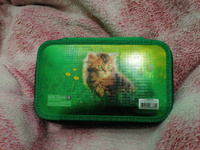 Пенал "Котёнок и одуванчик" 3-х секционный Зеленый 120х205х65 мм #30, Марина Г.