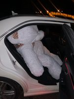 Большой плюшевый медведь Макс 250 см белый мишка с шарфиком #4, Денис Ш.