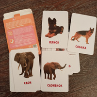 Развивающие карточки для малышей "Животные и детеныши" (Обучающие логопедические карточки Домана для детей) 30 шт. #56, Светлана