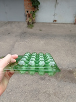 Упаковка (контейнер) для перепелиных яиц 20 ячеек. Зелёная, 100 шт/уп #8,  Светлана