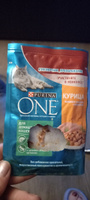 Влажный корм для кошек Purina ONE при домашнем образе жизни, в соусе с курицей и морковью, 75 г х 26 шт #161, Василиса М.