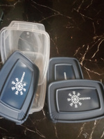 Набор прямоугольных пищевых контейнеров для замораживания продуктов "Морозко", 1 л , 3 шт #8, Елена К.