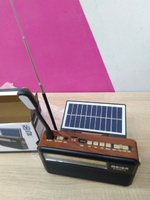 Радиоприемник с функцией беспроводной колонки bluetooth и солнечной батареей от сети, батареек, аккумулятора - портативное ретро радио на кухню с фонариком - FM, AM, SW, с USB, microSD, MP3 #7, Леонора Ц.