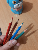 Точилка для карандашей механическая "SКV" Puppy голубая с автоподачей карандаша с контейнером #86, Мария Ч.