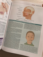 Клиническая нейроанатомия и неврология по Фицджеральду | Мтуи Эстомих, Грюнер Грегори #7, Алина К.