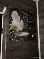 Универсальная самоклеящаяся пленка для кухни "Белая орхидея на камнях 1012" 2000*600 мм, с 3D защитным покрытием. #7, Альбина Г.