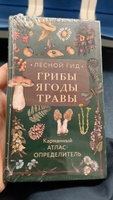 Лесной гид: грибы, ягоды, травы. Карманный атлас-определитель | Семенова Людмила Семеновна #8, Dmitriy V.