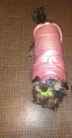Куртка для собак мелких пород и кошек Arnydog "Лондон" розовая, L (30 см) #1, Юлия П.