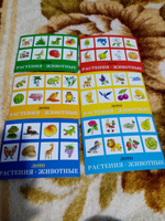 Развивающая игра Лото "Растения-животные", настольная игра для малышей, 48 пластиковых фишек + 6 карточек #5, Евгения Б.