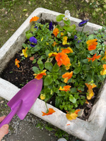 Совок посадочный цельнометаллический (фиолетовый), совок садовый, совок для посадки растений, лопатка, садовый инструмент. #42, Наталья Кислова