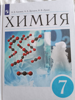 Химия. Введение в предмет. 7 класс. Учебник ФГОС | Еремин Вадим Владимирович, Лунин Валерий Васильевич #5, Светлана Т.