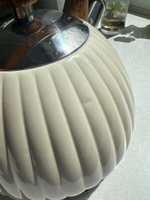 Чайник из нержавеющей стали 3 литра со свистком Мерали для газовой электрической и индукционной плиты #34, Ирина В.