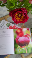 Пионы. Роскошные цветы для дома и сада | Исто Джейн, Лэйн Джорджианна #3, Татьяна Т.