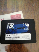 Patriot Memory 256 ГБ Внутренний SSD-диск P210 2.5" SATA3 6.0 Гбит/с (P210S256G25) #130, Александр С.