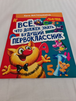 Все, что должен знать будущий первоклассник. Занимаемся с котом да Винчи | Матюшкина Екатерина Александровна #6, Аннели С.