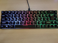 PANTEON M2 Black Игровая мембранная TKL (65%) клавиатура с LED-подсветкой MULTICOLOR (68 кл.,USB), цвет: черный #54, Никита К.