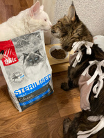 БЛИТЦ корм д/кошек стерилизованных с Курицей STERILISED CATS 2 кг, шт #3, Полина Д.