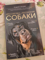 Дрессировка и воспитание собаки | Шкляев Андрей Николаевич #5, Александра К.