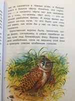 Рассказы. Внеклассное чтение | Пришвин Михаил Михайлович #7, Вера С.