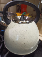 Чайник из нержавеющей стали AGNESS со свистком 2,5 л, для всех видов плит (подходит для индукции) #8, Елена К.