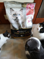 Сухой корм PRO PLAN Nature Elements для взрослых стерилизованных кошек и кастрированных котов, с курицей, 7 кг #74, Мария
