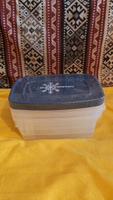Набор прямоугольных пищевых контейнеров для замораживания продуктов "Морозко", 1 л , 3 шт #2, Александр С.