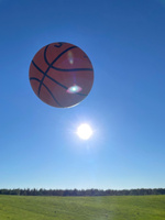 Larsen Мяч баскетбольный, 6 размер, оранжевый #5, Елена Г.