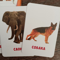 Развивающие карточки для малышей "Животные и детеныши" (Обучающие логопедические карточки Домана для детей) 30 шт. #58, Светлана