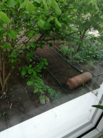 Пластиковый садовый бордюр ANMAKS Кантри зеленый, длина 10000 мм, высота 110 мм, арт. 82401-З #6, Елена К.