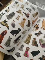 Многоразовые наклейки для малышей, Буква Ленд, "Кошки и собаки", книжка с наклейками #16, Мария Т.