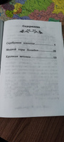 Серебряное копытце. Уральские сказы. Школьная программа по чтению | Бажов Павел Петрович #14, Наталья К.