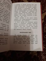 Карлик нос. Сказки зарубежных писателей | Гауф Вильгельм, Перро Шарль #2, Вера Т.