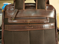 Рюкзак городской кожаный Ashwood Leather 8144 Brown #3, Виталий К.