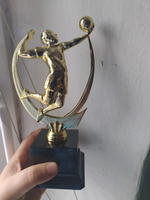Подарок-награда "Волейбол" (наклейки в комплекте), высота 21 см. Вариант №42 #2, Светлана С.