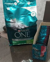 Влажный корм Purina ONE для взрослых кошек, в соусе с говядиной и морковью, 75 г х 26 шт. #166, Валентина М.