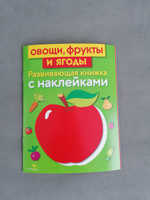 Овощи фрукты и ягоды. Развивающая книжка с наклейками | Маврина Лариса Викторовна #2, Евгения Ю.