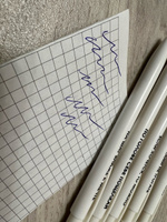 Шариковые ручки с надписями в подарок , для школы / синяя шариковая ручка для школы / набор ручек Ленпечати #29, Алиса Я.