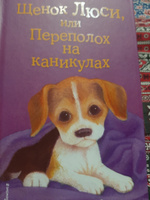 Щенок Люси, или Переполох на каникулах (выпуск 32) | Вебб Холли #5, Светлана Ш.