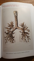 Atlas of Human Anatomy and Surgery | Bourgery Jean Marc, Jacob Nicolas Henri #4, Pavel