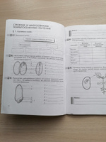 Биология 6 класс. Многообразие покрытосеменных растений. Рабочая тетрадь с тестовыми заданиями ЕГЭ. УМК "Вертикаль". ФГОС | Пасечник В. В. #6, Ольга Щ.