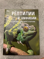 Энциклопедия для детей с заданиями Рептилии Умка / развивающая книга детская | Козырь Анна #3, Тимур М.