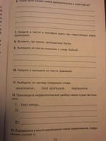 Рабочая тетрадь. Комплексный анализ текста. 6 кл | Малюшкин Александр Борисович #5, Ольга П.