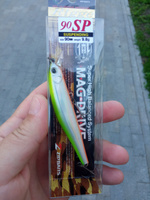 Воблер Zip Baits RIGGE 90SP # 205R #18, Всеволод Иванов