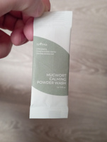 IsNtree Энзимная пудра с экстрактом полыни для проблемной кожи Mugwort Calming Powder Wash (1г. x 10шт.) #7, Надежда С.