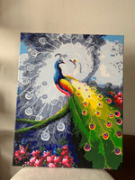 Картина по номерам на холсте с подрамником. 40x50: Colibri - павлины. Два превосходных павлина #16, Мария Ч.