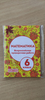 ВПР Математика 6 класс | Мальцев Алексей Александрович, Мальцев Дмитрий Александрович #1, Vasiliy Zahvatoshin