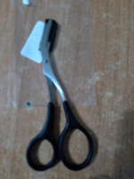 Ножницы для бровей со съёмной расчёской, 13 см #6, Александр К.