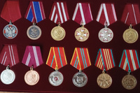 Планшет для хранения медалей диаметром 32мм, футляр для наград, органайзер под знаки отличия, рамка на 12 ячеек #5, Вячеслав В.